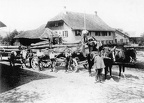 Mühlen